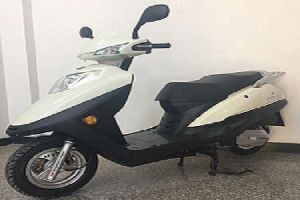 FL125T-31D