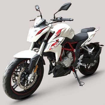 ¡��  LX300-6F(2018)