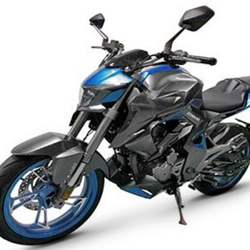 ����  ZT300-R2(2018)
