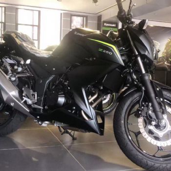  ����z250