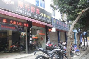  üɽĦ�в�����ӥ�����ֲ�����ZONTES����310��