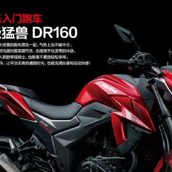  ����DR160
