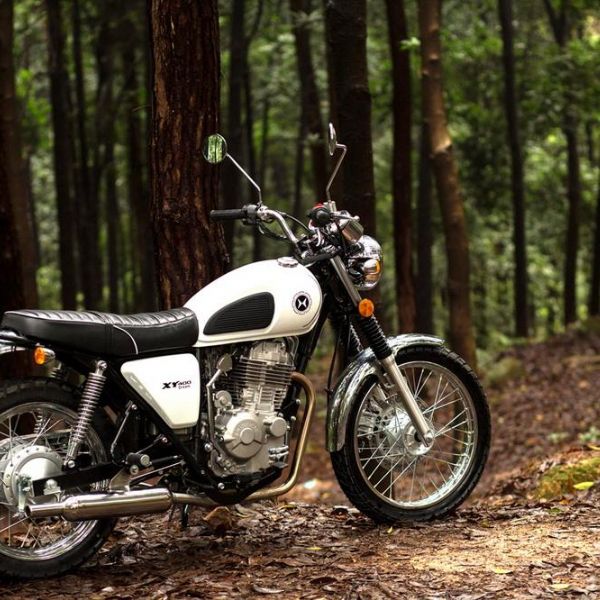 ���������XY400