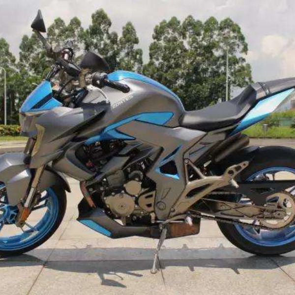 ���� �ֳ��� ZT310-R