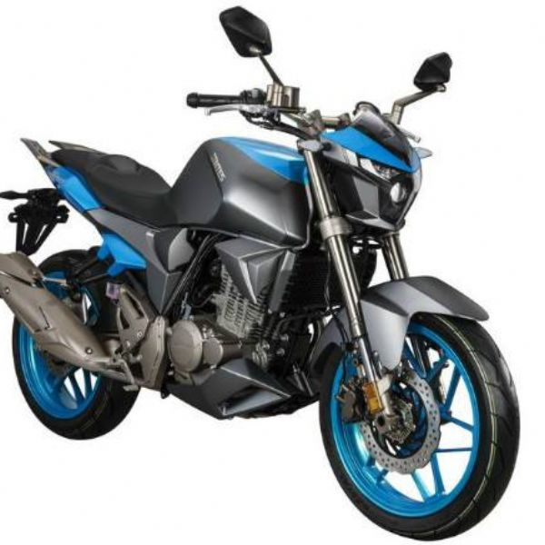 ���� ���������� ZT250-S