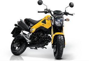 ����MXS125