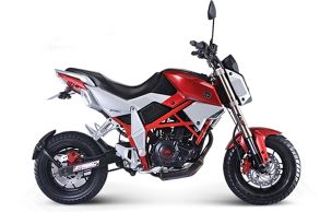 С����250