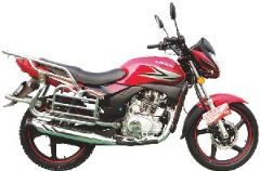 ������ʨ200