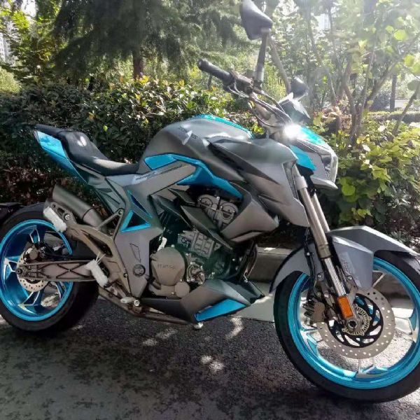  ����310R