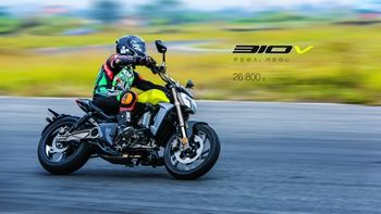  ����310V