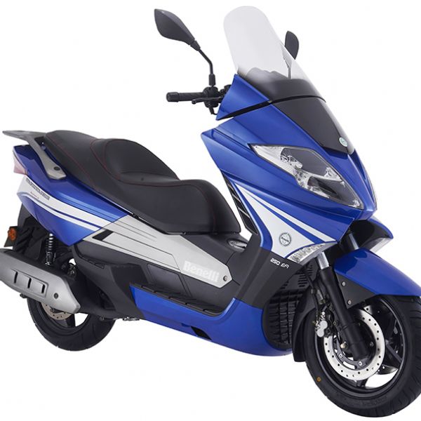  ����������250