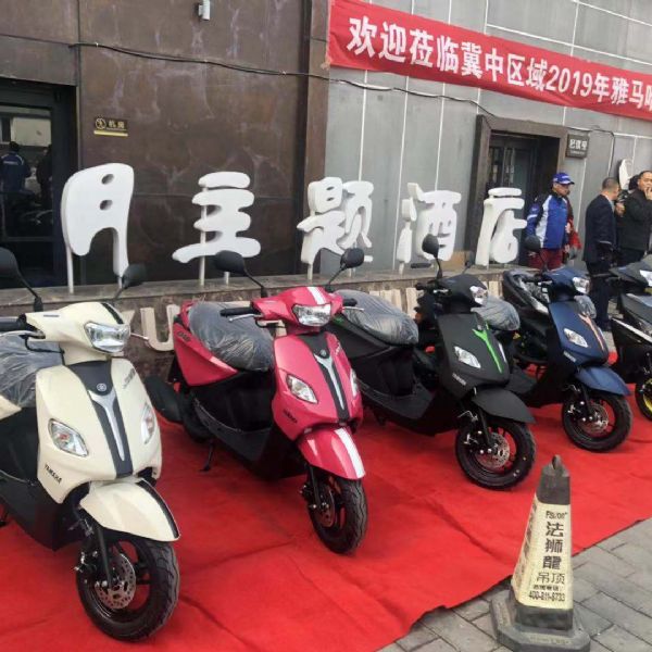  �������ɸ�iZY125T-13