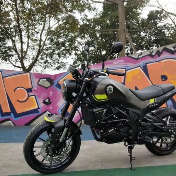 ����������С��ʨBJ250