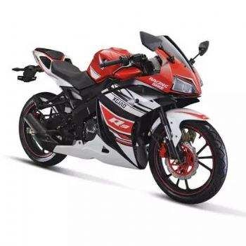 �¸о� XGJ250-28