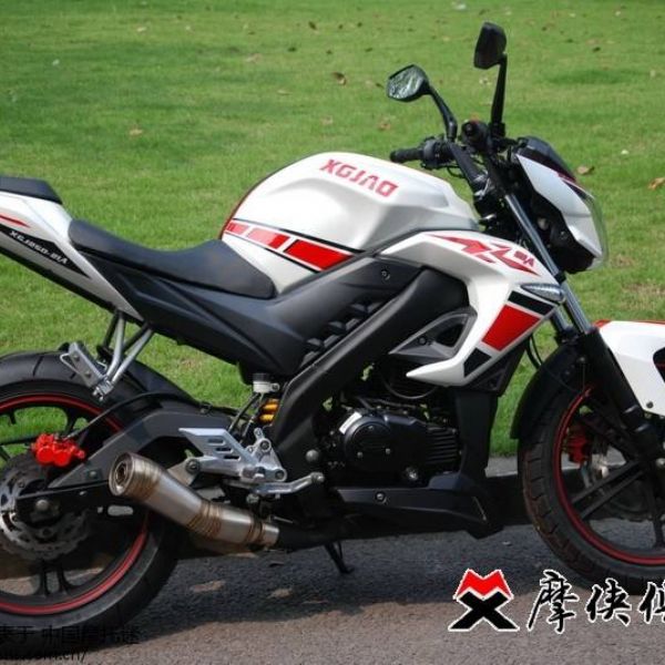 �¸о� XGJ250-21A