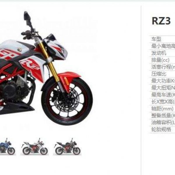 ������ RZ3 ZS250GS-2A