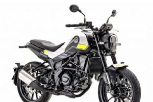  ��������ʨ250