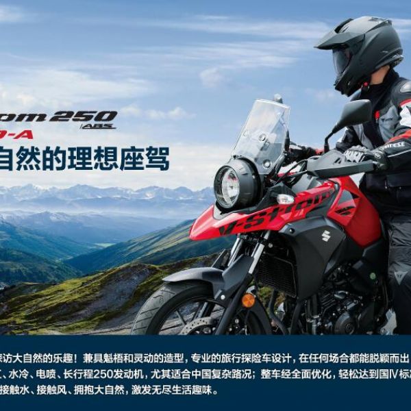  ������ľDL250-A