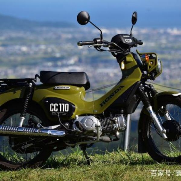  ��������CC110 �Ǵ�ó��Сó