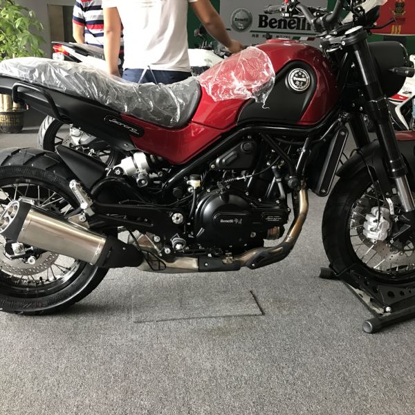 ��������ʨ500������