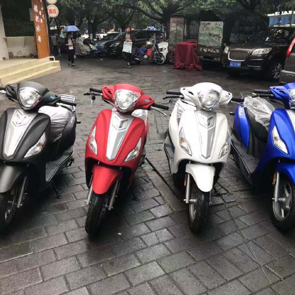 ���� ZT4 MO�� ��Ʒ���ĵ��� ��Ʒ�¹ŵ�����̤�塭