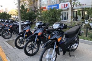 ��ľ��ʤ110 ����Ħ�г�