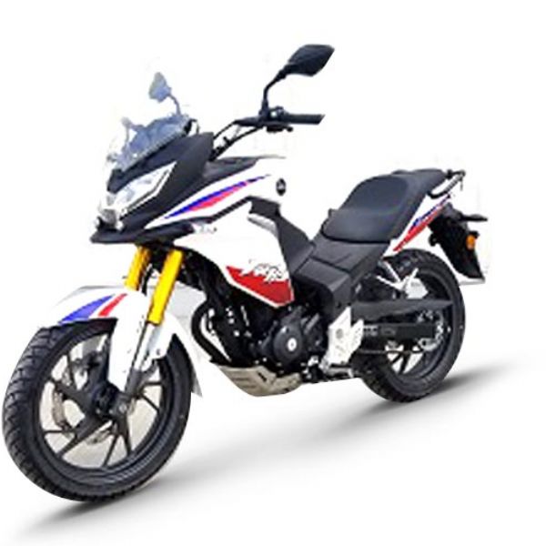 2020���´��ޱ���  SDH175-11