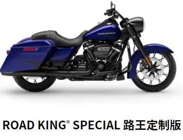  ROAD KING® SPECIAL ·����
