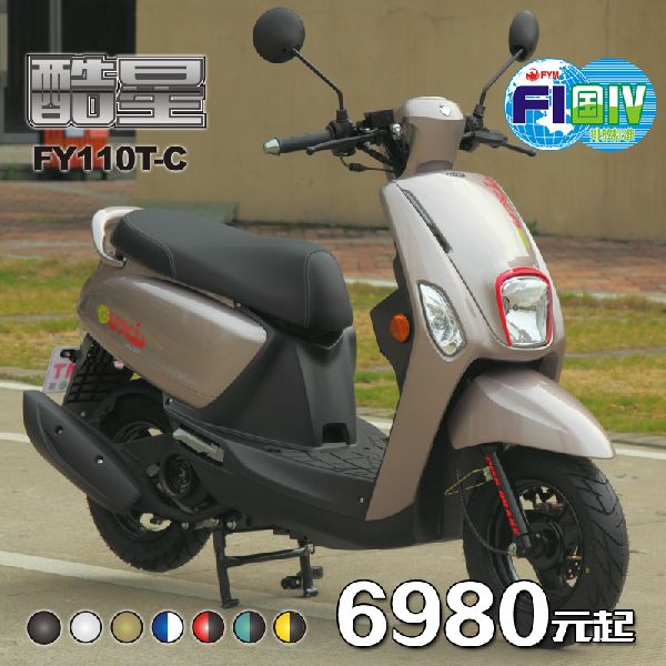  ��ӥ����*FY110T-C