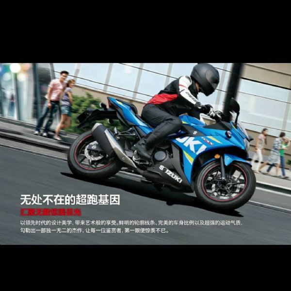 ��ľGSX250R-A