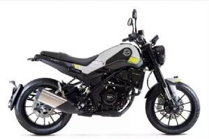 ��������ʨ250