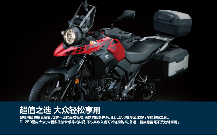  ������ľDL250
