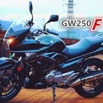  ��ľ gw250f