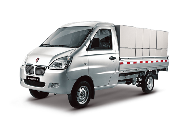 ������ T20