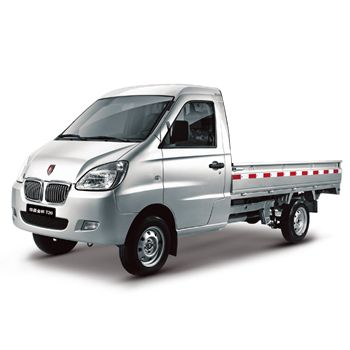  ������T20