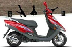 ������ľ�챦����UM125T