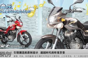 ����SY125-29��Ʒ�ֲ�