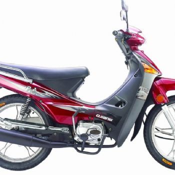 Ǯ��110-18C��ţĦ�����׵�����