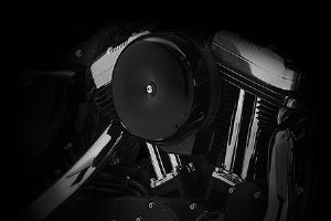 ����2015 FORTY-EIGHT&reg;�������