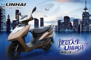 �ֺ�LH100T-16��Ʒ�ֲ�