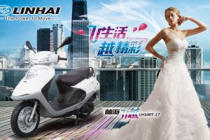 �ֺ�LH100T-17��Ʒ�ֲ�