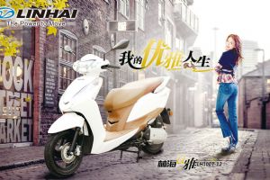 �ֺ�LH100T-12��Ʒ�ֲ�
