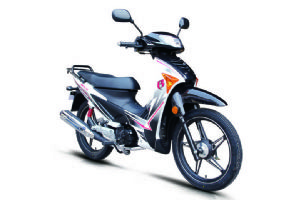 HYOSUNG��ʤĦ�з��� QM125-5G�ֲ�ϸ��