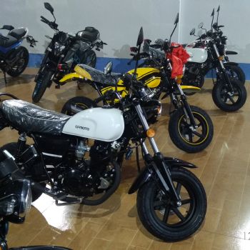  ��������CF125 5��