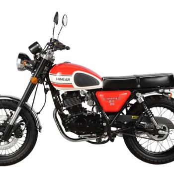 ���� U��CLASSIC 200Z ��ţĦ�����׵�������