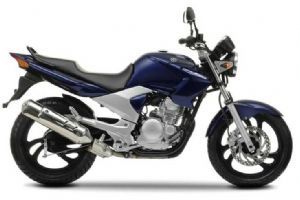  YAMAHA����������250
