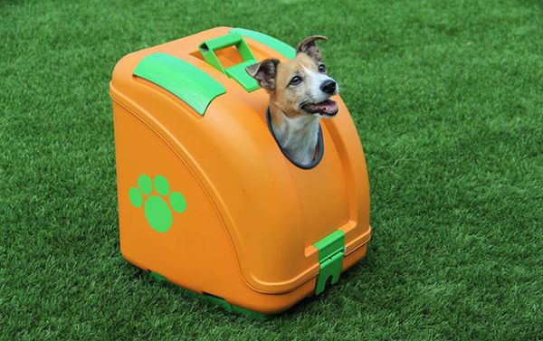 Pet On Wheels 02