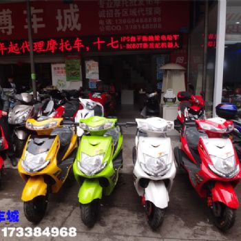 �¿�  �ݷ�YAMAHA̤�峵 Ѹ�� 125��ɲ ��β�� L��