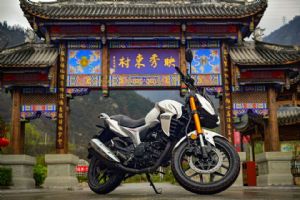 ����LF200-10R�⾰ͼƬ