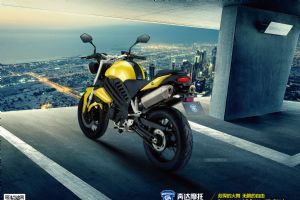 ����-����250GS